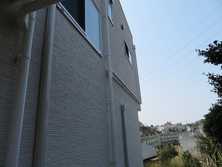IMG_7211.jpg